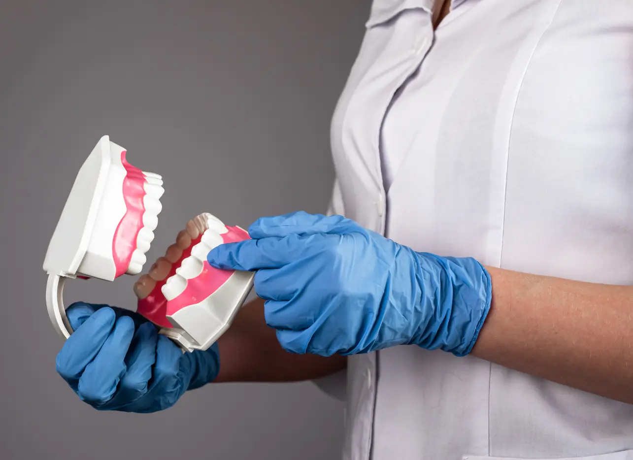 Person holding dental model with gloves
