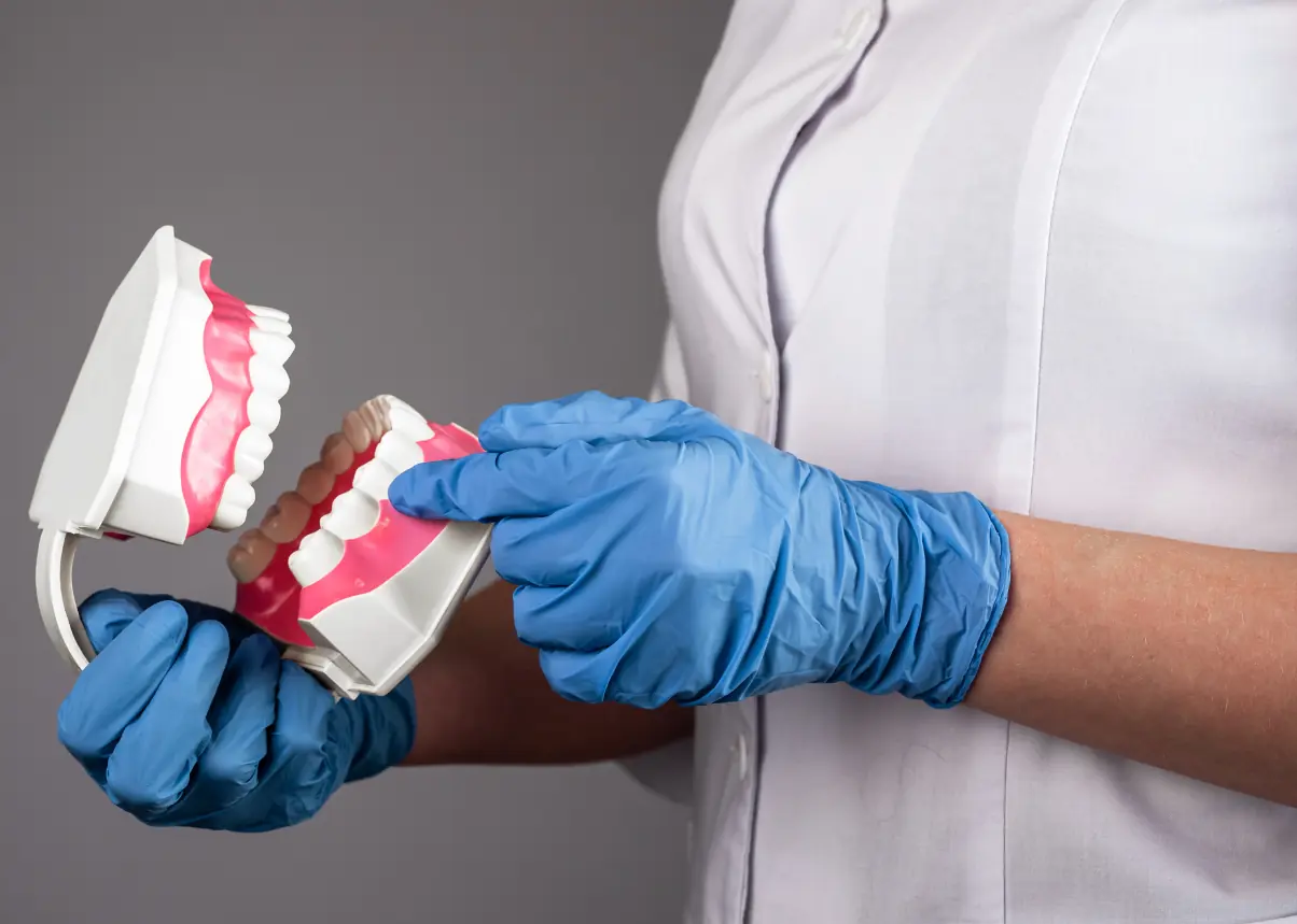 Dental model held by gloved hands