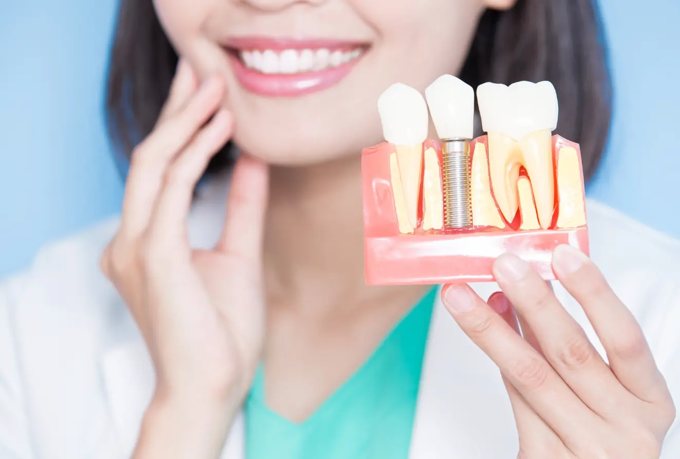 Dentist holding dental implant model.