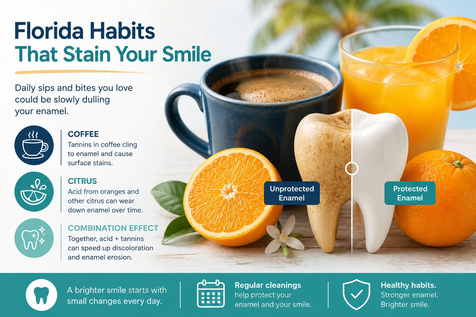 Coffee & Citrus Culture